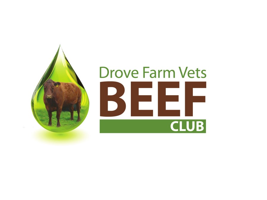 Beef Drove Farm Vets Swindon
